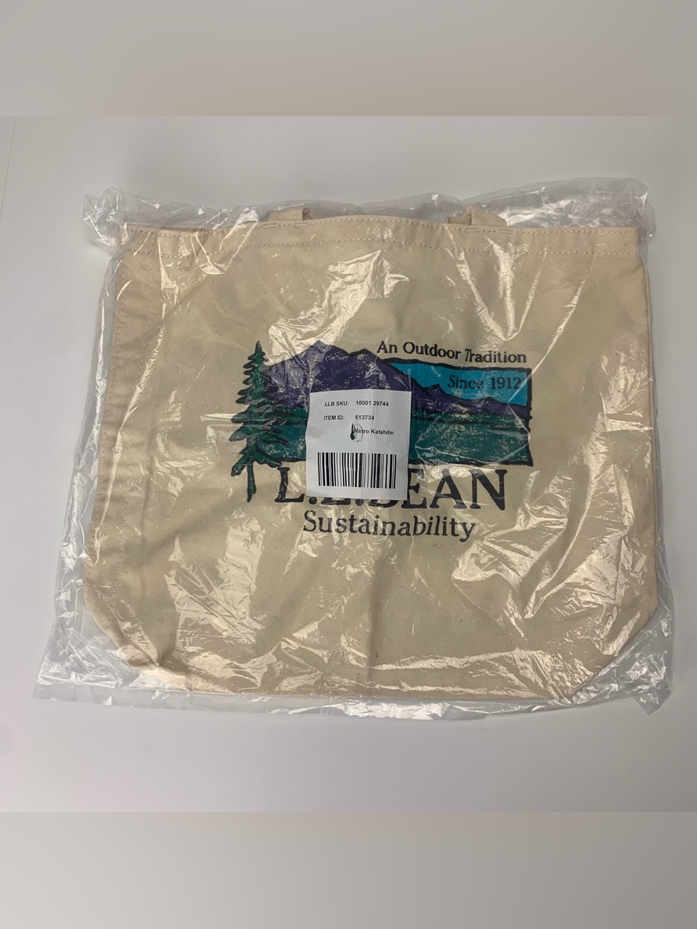 L.L. Bean Wicked Shoppah Tote Retro Katahdin Sustainability Pool Beach Bag
